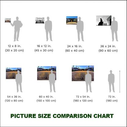 Picture Size Comparison Chart